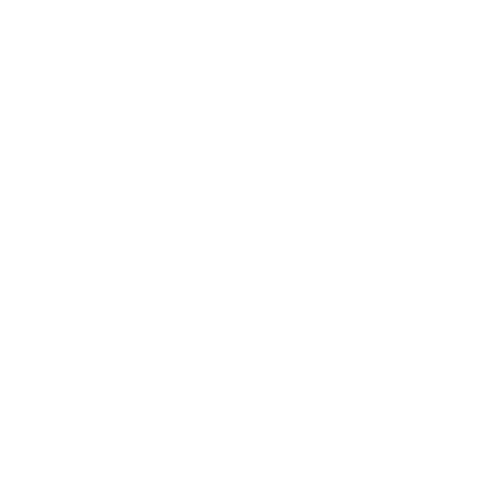 Niclas Wächter Logo